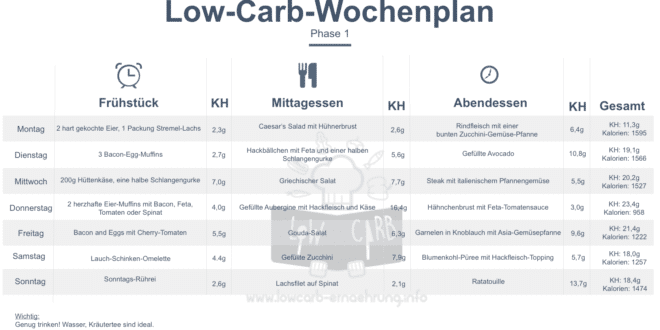 Atkins Ernahrungsplan Fur Phase I Low Carb Ernahrung