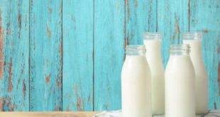 Sind Milch und Joghurt bei Low Carb erlaubt?